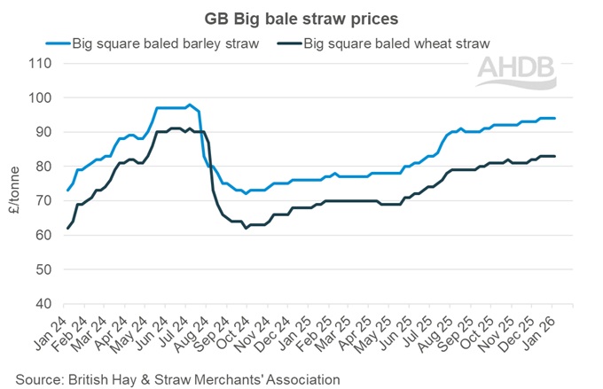 Graph showing GB big bale straw weekly prices 4 January 2026.